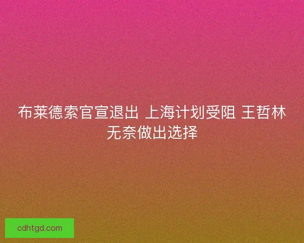 布莱德索官宣退出 上海计划受阻 王哲林无奈做出选择